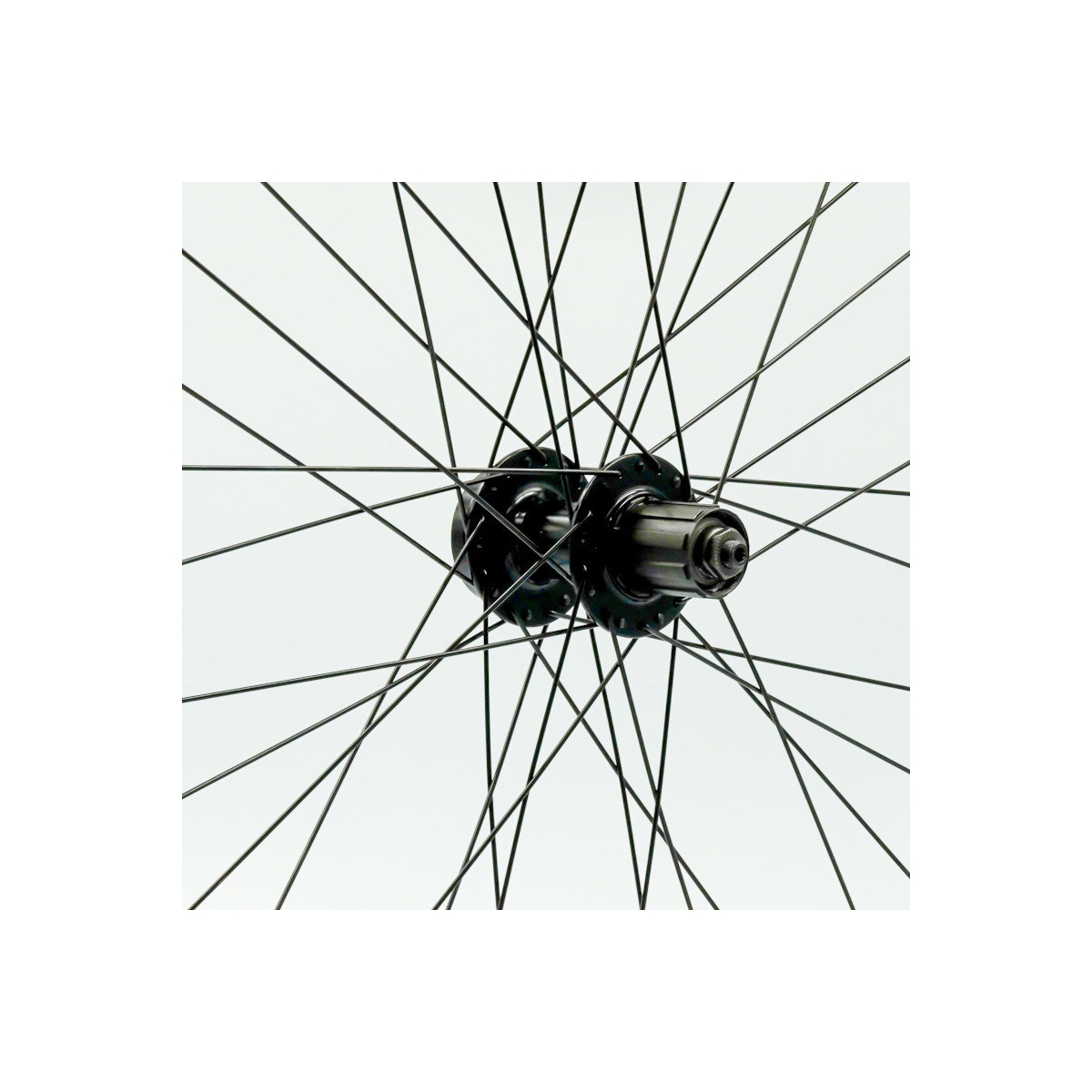 Roue 24" AV, jante alu double paroi noire, disc 6 trous, QR10