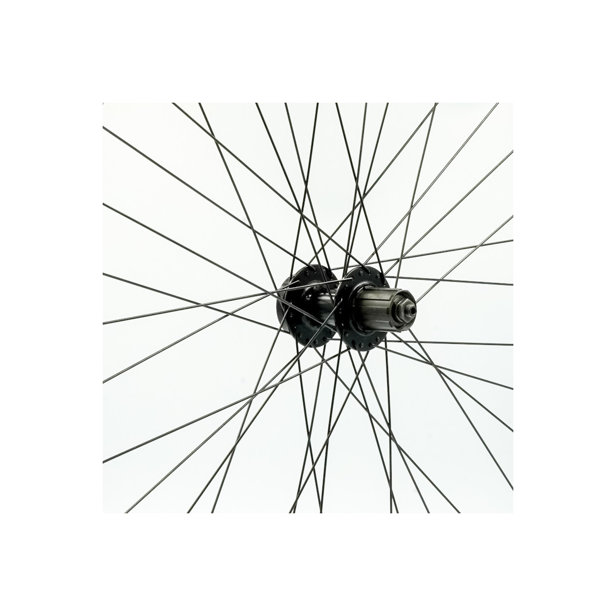 Roue 29" ARR k7, jante alu double paroi noire, disc 6t, QR10