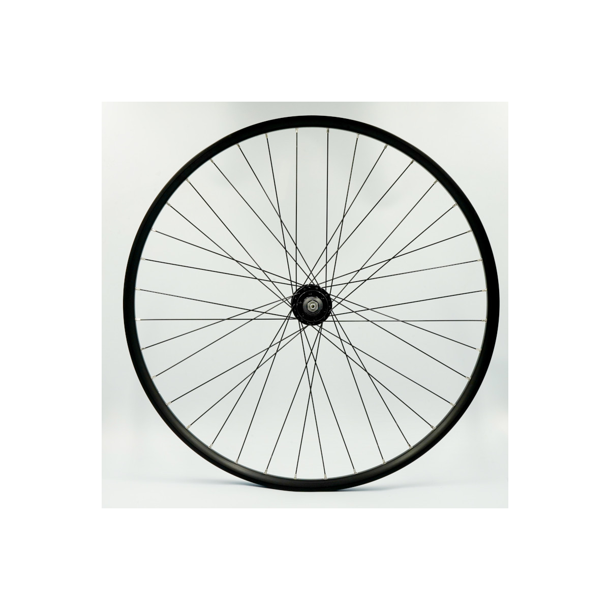 Roue 29" AV, jante alu double paroi noire, disc 6t, QR10