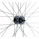 Rueda delantera MTB/VAE 29", doble pared, negra, disco, 15 x 110