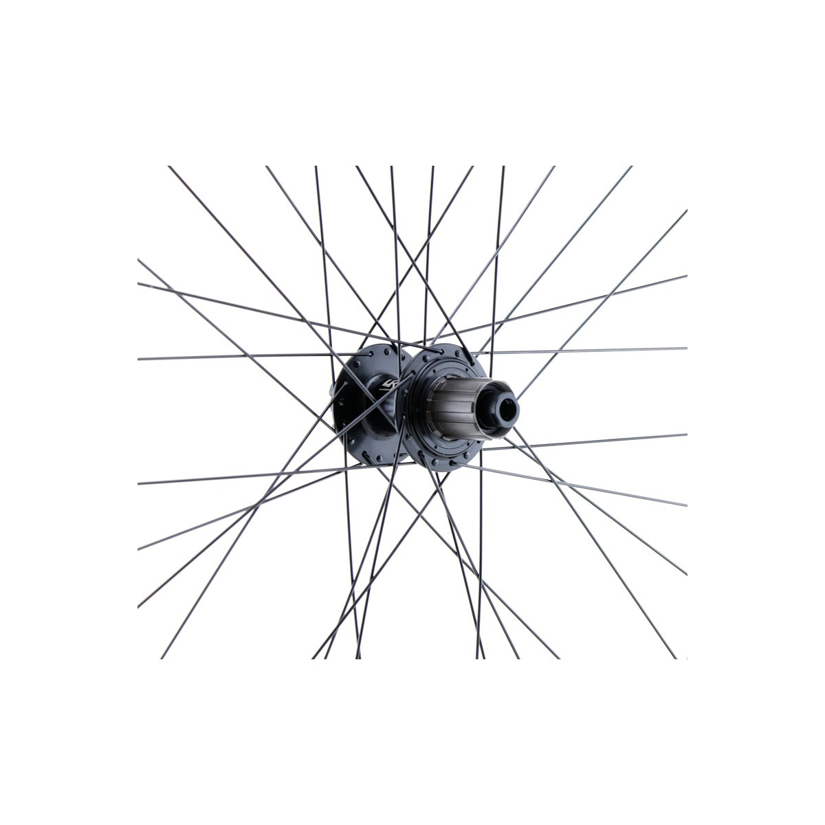 Rueda trasera 29" MTB/VAE, doble pared, negra, disco, 12 x 148