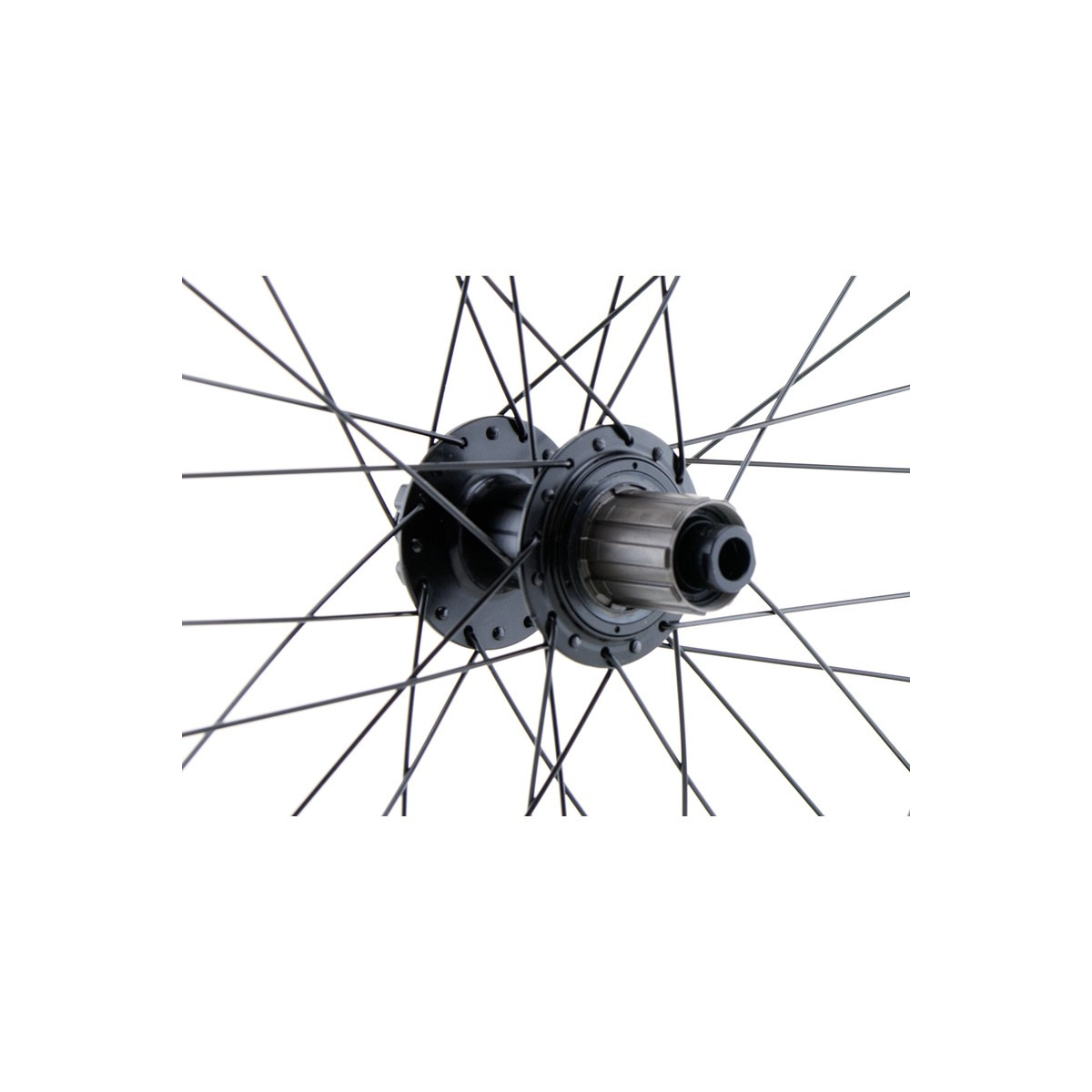 Roda traseira CARGO/VAE de 20", de parede dupla, preta, disco, 12 x 148