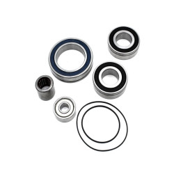 Kit de servicio BLACKBEARING para motores Panasonic de 36 V